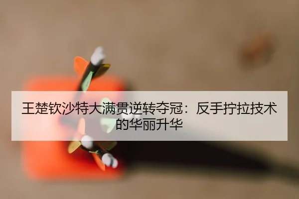 wang-chu-qin-sha-te-da-man-guan-ni-zhuan-duo-guan-fan-shou-ning-la-ji-shu-de-hua-li-sheng-hua-2-940.jpg